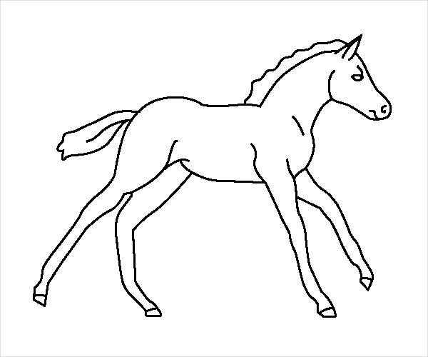 Baby Horse Coloring Page
 12 Horse Coloring Pages JPG Download