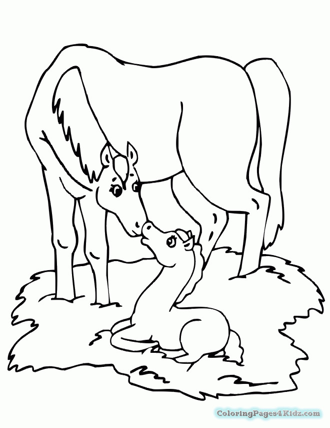 Baby Horse Coloring Page
 Baby Einstein Horse Coloring Pages