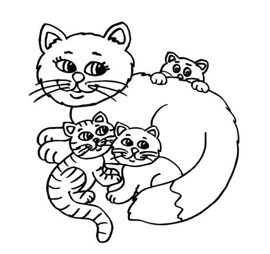 Baby Kitty Coloring Pages
 Cute Baby Cats Coloring Pages Animal