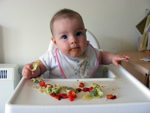 The Best Baby Led Weaning Recipes 7 Months – Home, Family, Style and