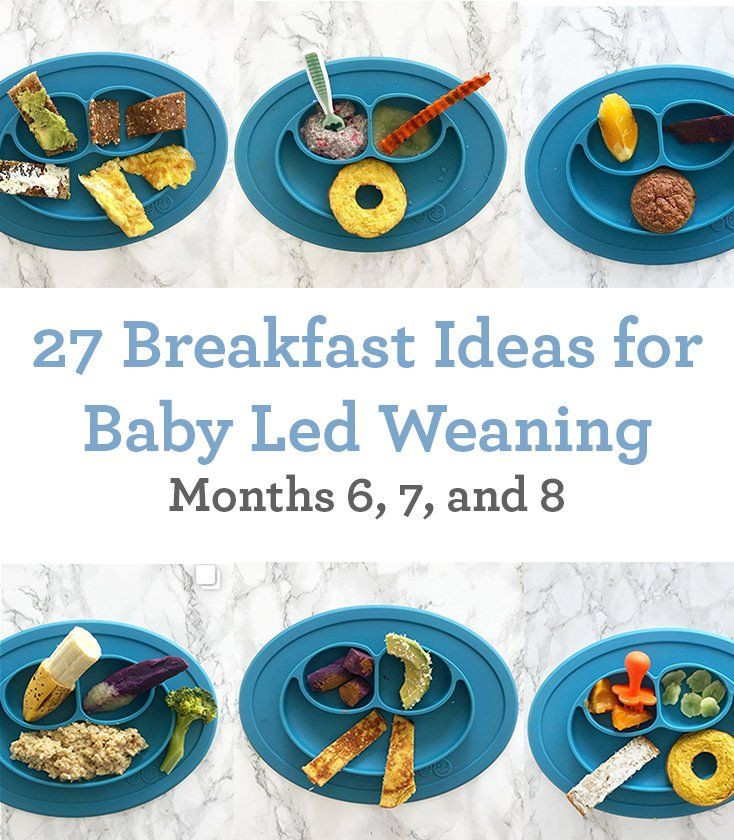 The Best Baby Led Weaning Recipes 7 Months – Home, Family, Style and