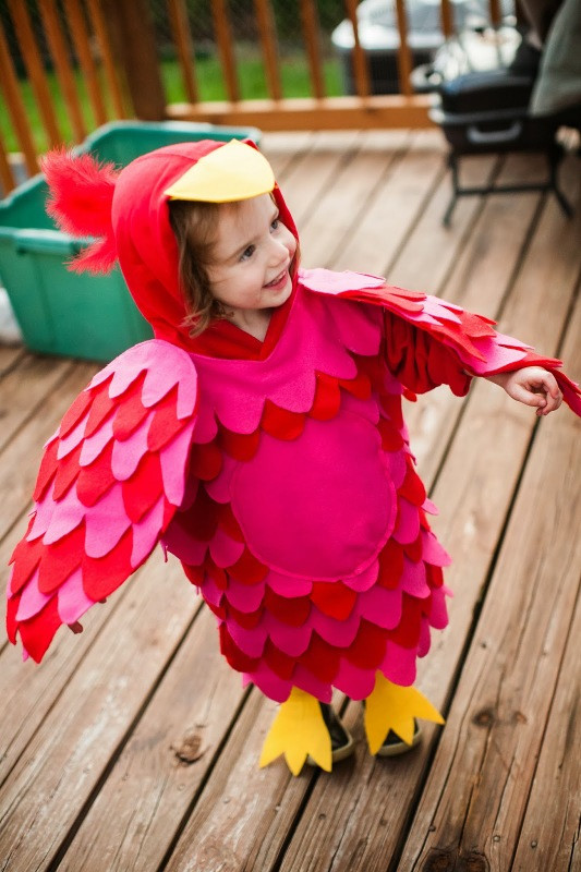 Baby Parrot Costume DIY
 Craftionary
