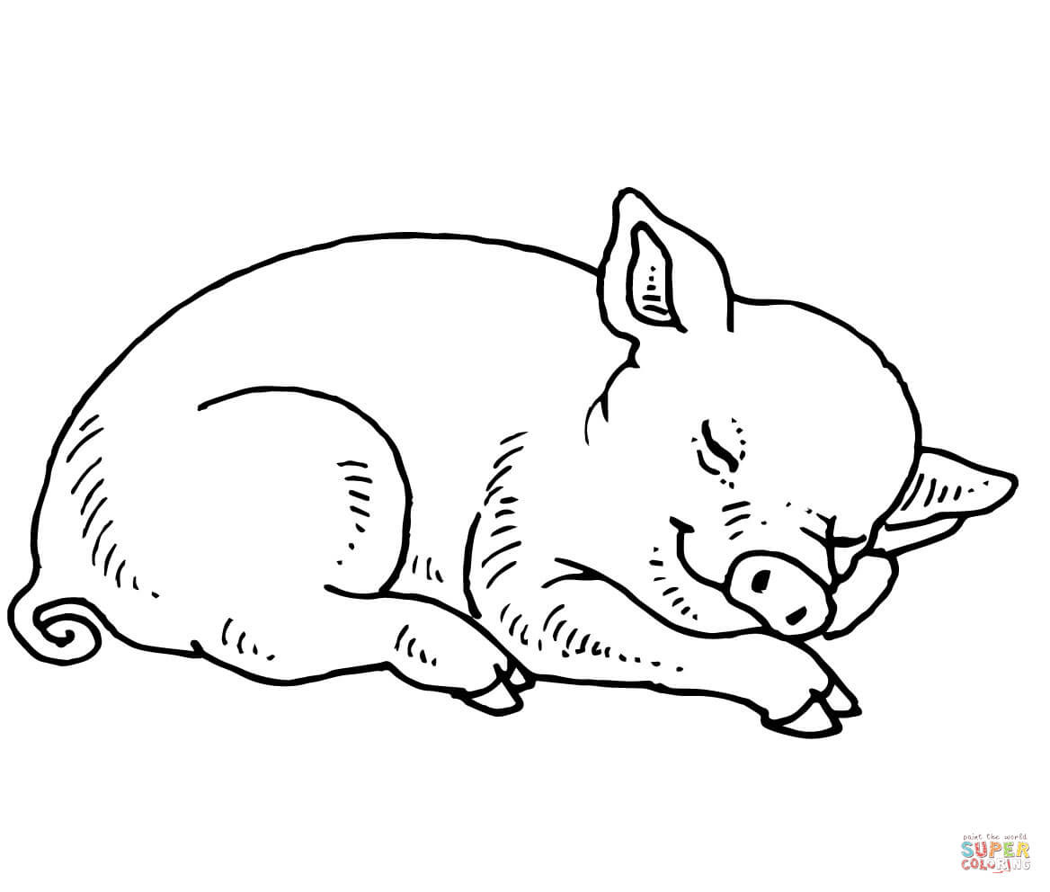Baby Pig Coloring Pages
 Sleeping Baby Pig coloring page