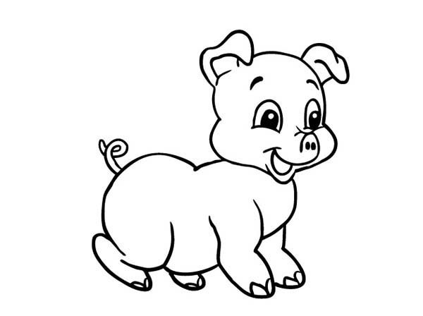 Baby Pig Coloring Pages
 Baby Pig Laughing Coloring Page Baby Pig Laughing