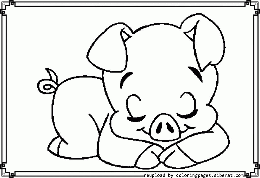 Baby Pig Coloring Pages
 Coloring Page Pigs Coloring Home
