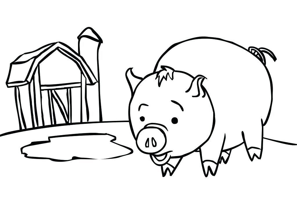 Baby Pig Coloring Pages
 Crazy Coloring Pages at GetColorings