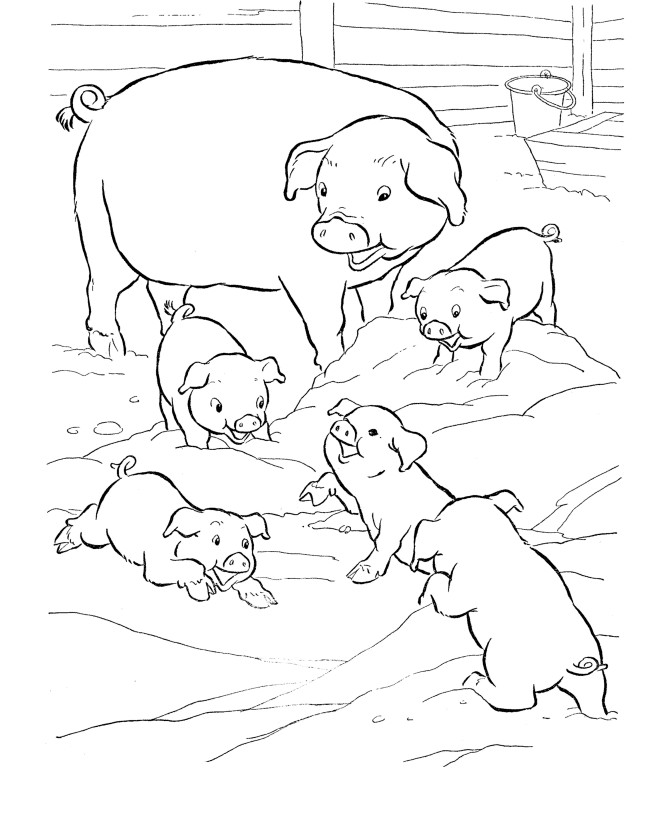 Baby Pig Coloring Pages
 Free Printable Pig Coloring Pages For Kids