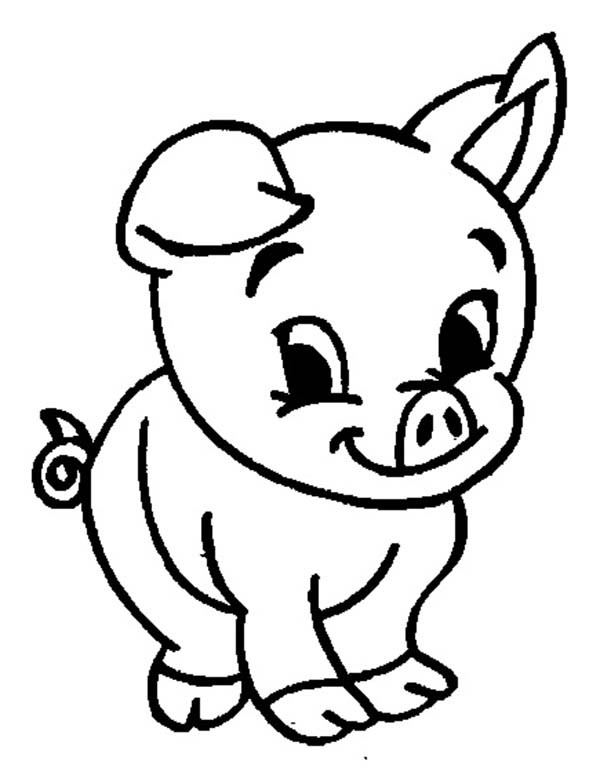 Baby Pig Coloring Pages
 Adorable Baby Pig Coloring Page