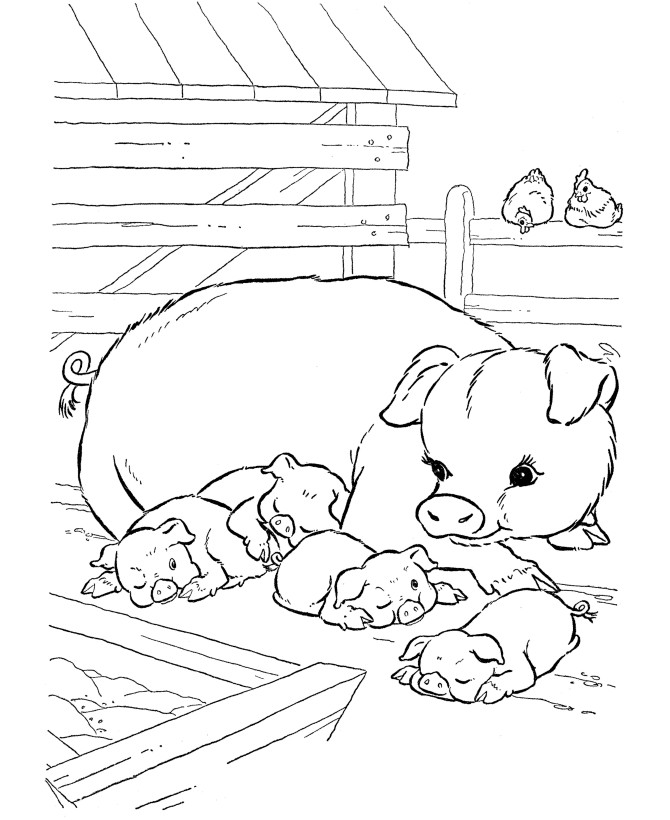 Baby Pig Coloring Pages
 Baby Pig Coloring Pages Coloring Home