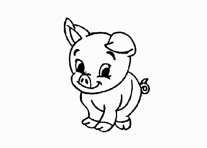 Baby Pig Coloring Pages
 Baby pig coloring pages