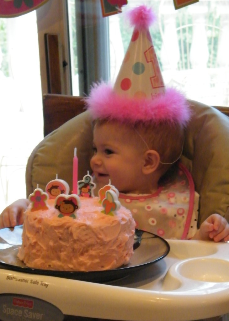 Baby'S First Birthday Cake Recipe
 1st Birthday Smash Cake Recipe
