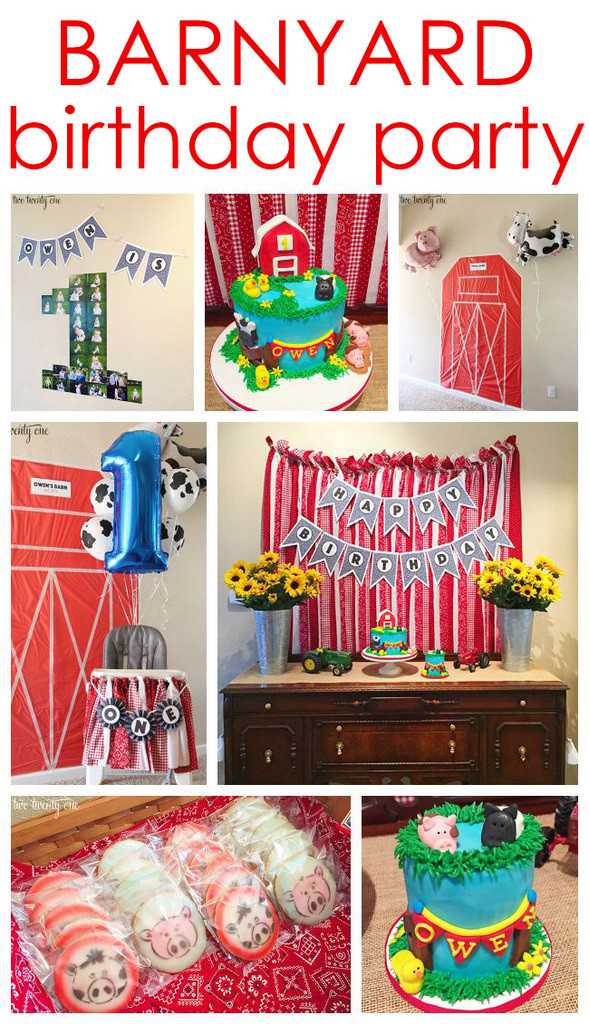 Barnyard Birthday Decorations
 Barnyard Birthday Party