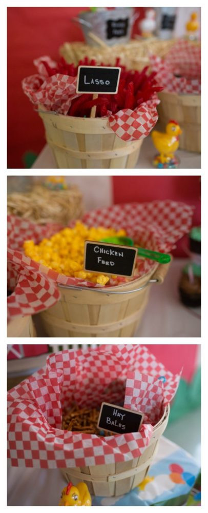Barnyard Party Food Ideas
 Farm Themed First Birthday Party Pretty My Party Party