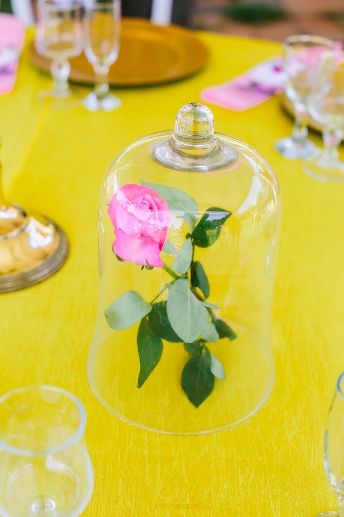 Belle Birthday Party Ideas
 Kara s Party Ideas Princess Belle Beauty and the Beast