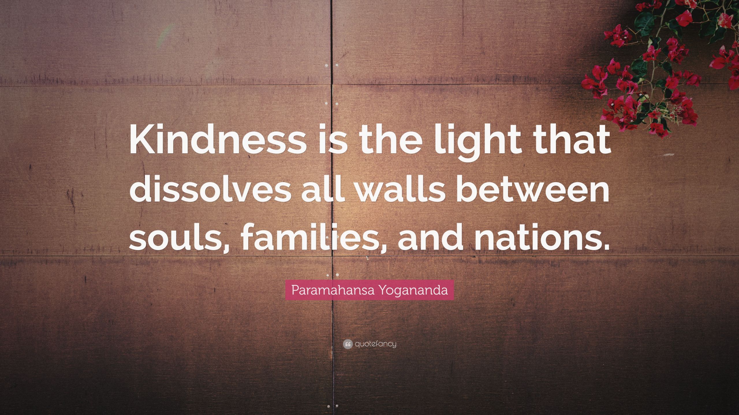 Best Kindness Quotes
 20 Best Kindness Quotes That Will Make You A Better Person