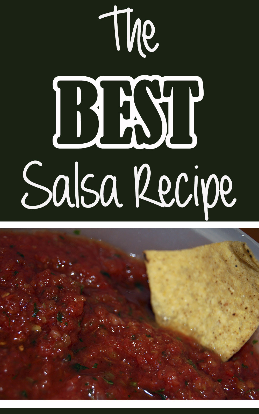 Best Salsa Recipe
 The BEST Salsa Recipe