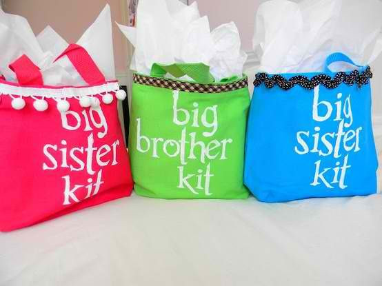 Big Baby Shower Gifts
 6 Unique DIY Baby Shower Gifts for Boys and Girls