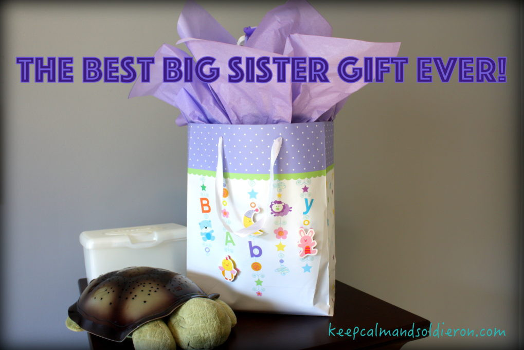 Big Sister Gifts From Baby
 The Best Big Sister Gift Ever