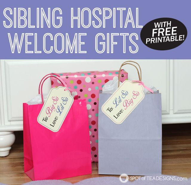 Big Sister Gifts From Baby
 Big Sister and Little Sister Wel e Gifts With Free