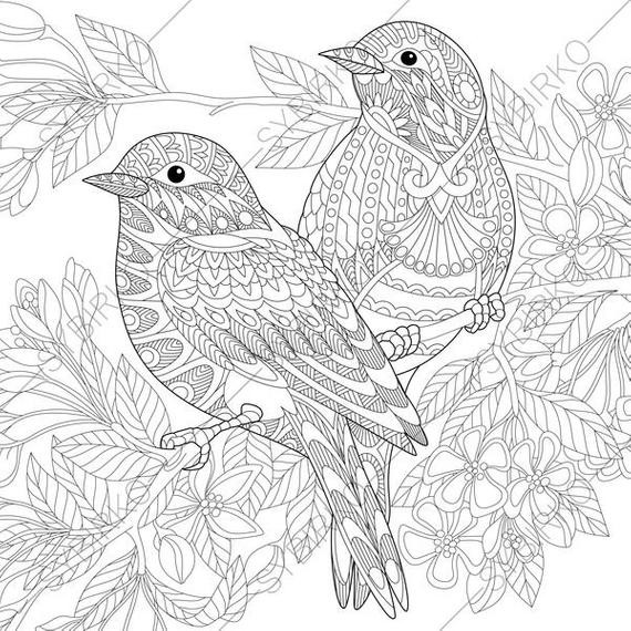 Bird Coloring Book For Adults
 Adult Coloring Pages Sparrow Birds Zentangle Doodle Coloring