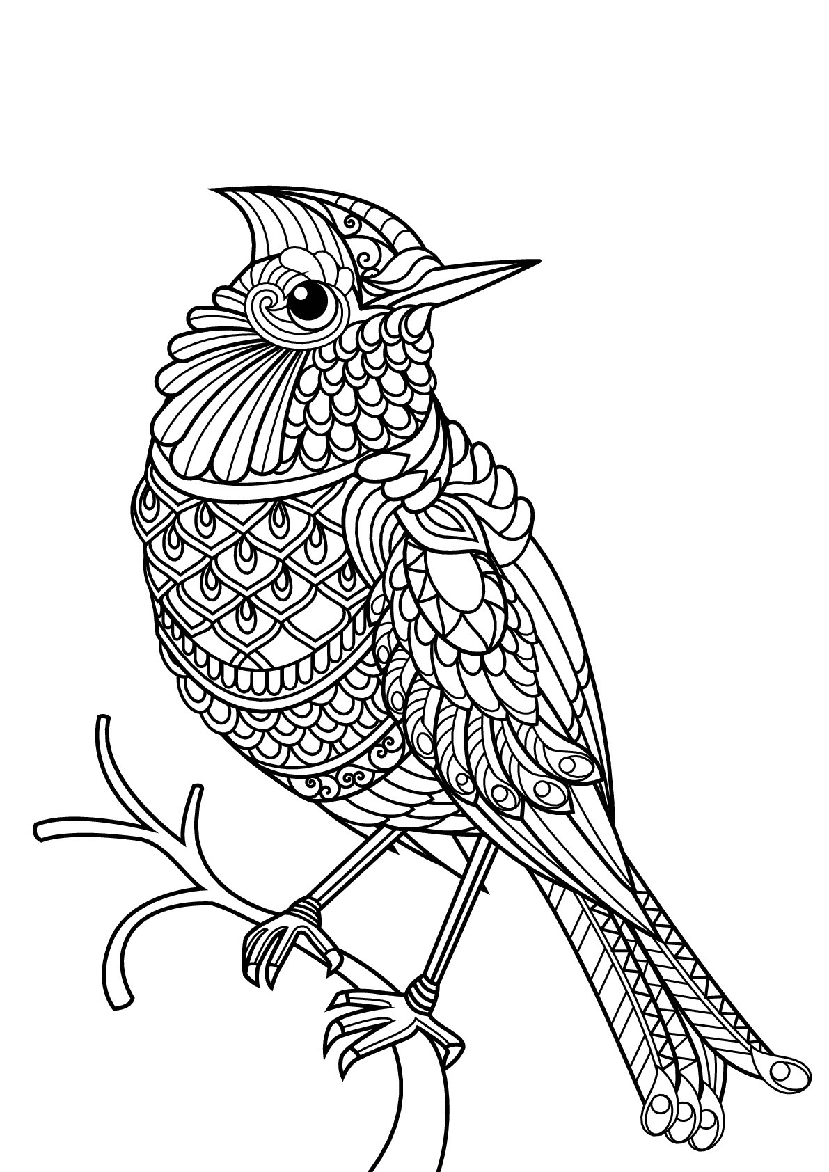 Bird Coloring Book For Adults
 Birds free to color for children Birds Kids Coloring Pages