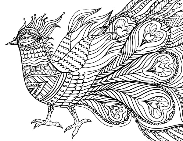Bird Coloring Book For Adults
 Abstract Bird Adult Coloring Page
