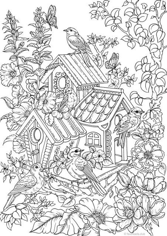 Bird Coloring Book For Adults
 Birdhouse Printable Adult Coloring Page from Favoreads