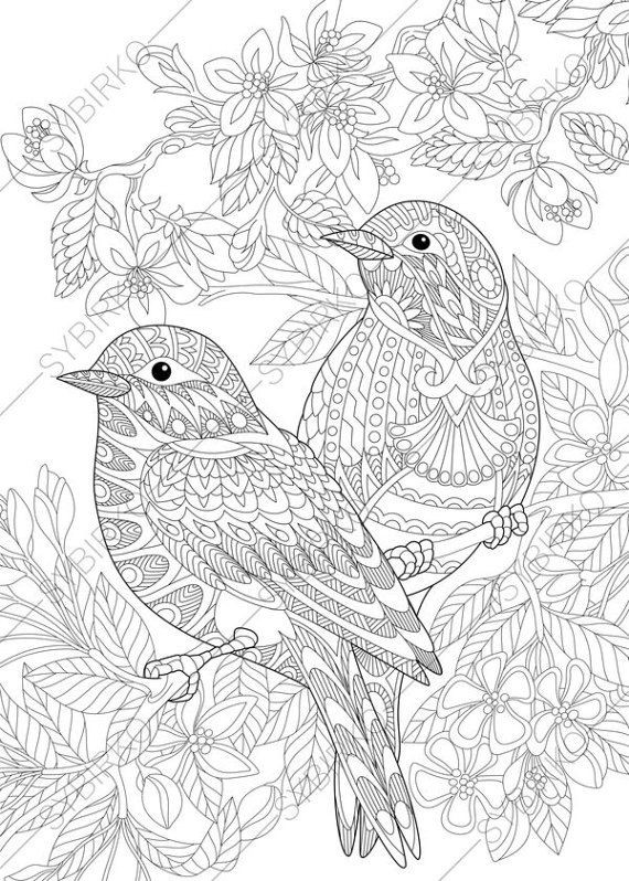 Bird Coloring Book For Adults
 Coloring pages for adults Lovely Birds Couple Spring