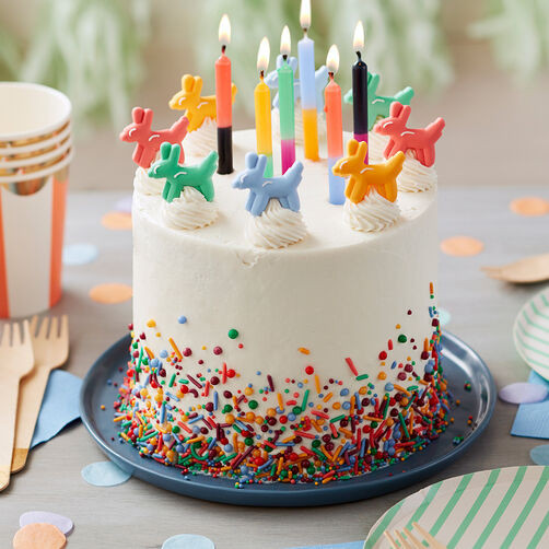 Birthday Cake Decor
 Sprinkle on the Fun Birthday Cake