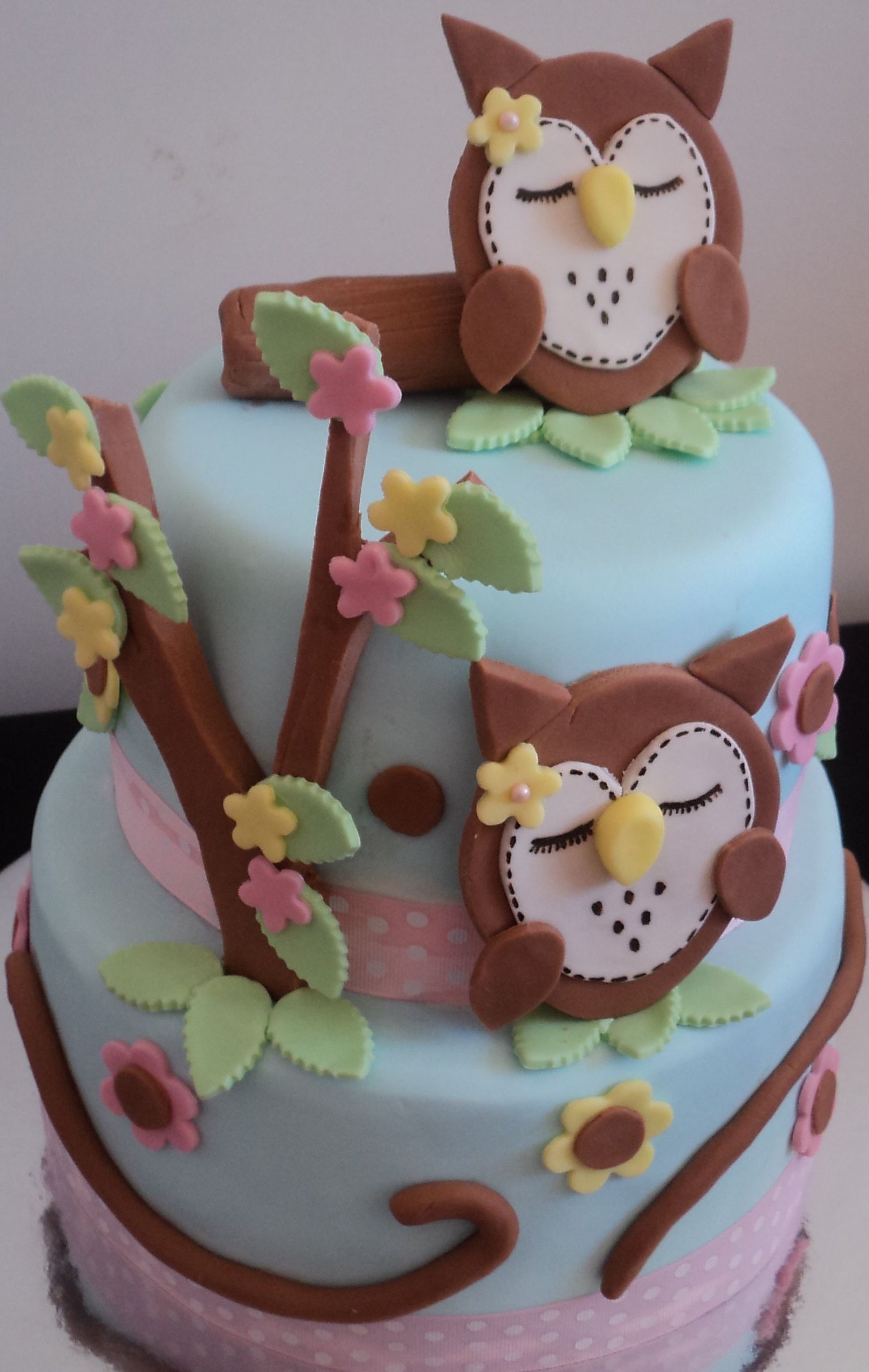 Birthday Cake Decor
 Owl Cakes – Decoration Ideas