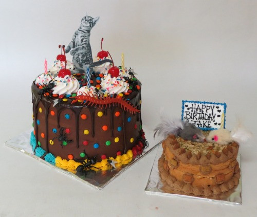 Birthday Cake Tumblr
 birthday cake ideas on Tumblr