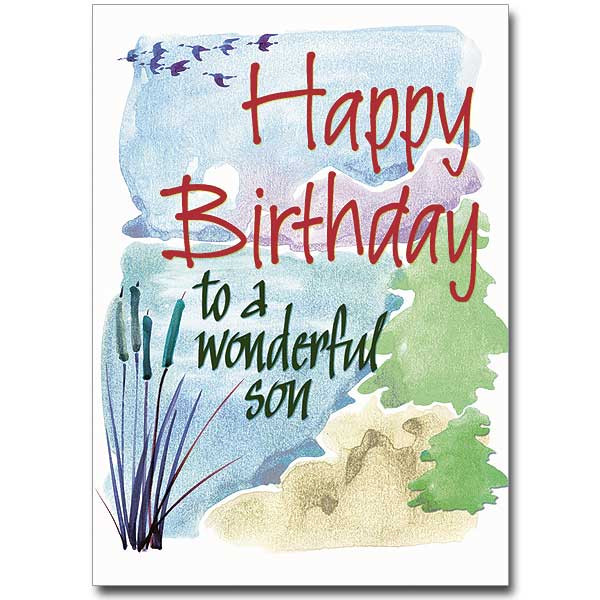 Birthday Card For Son
 Happy Birthday to a Wonderful Son Birthday Card