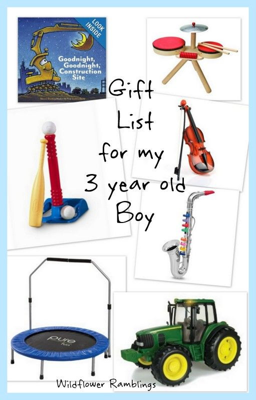 Birthday Gift Ideas For 3 Year Old Boy
 t ideas for my 3 year old boy