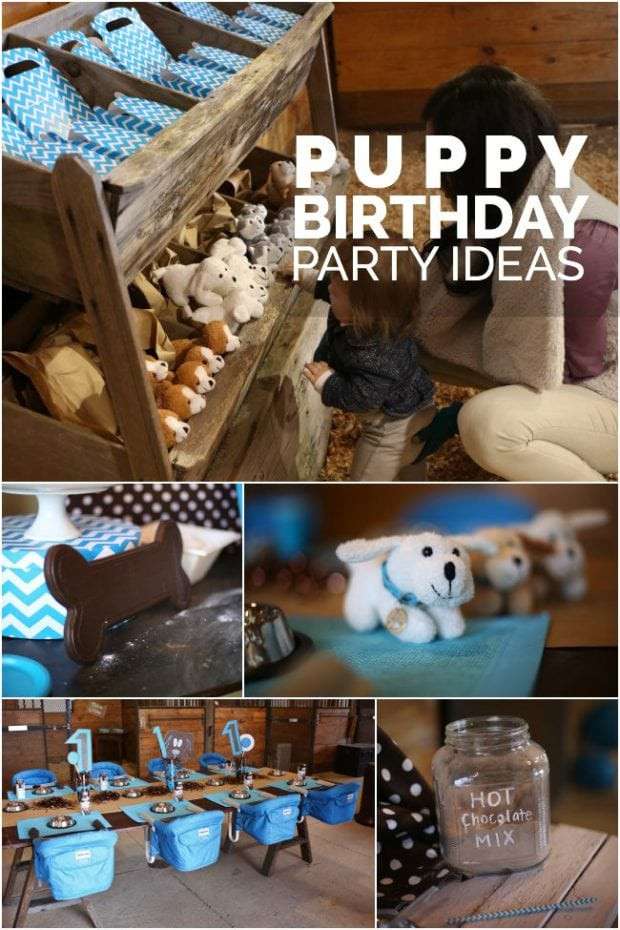 Birthday Gifts For Dogs
 A Dog Gone Cute Boy s Puppy First Birthday Party