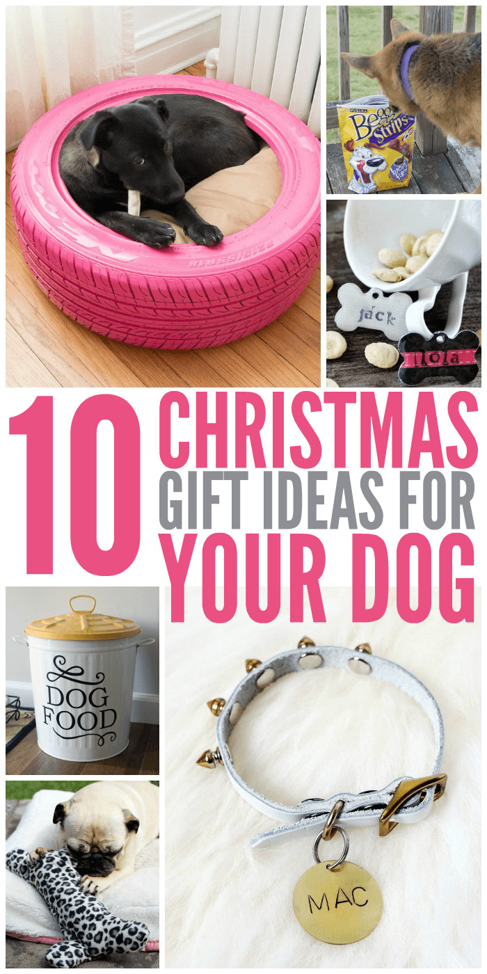 Birthday Gifts For Dogs
 10 Christmas Gift Ideas for Your Dog Glue Sticks and