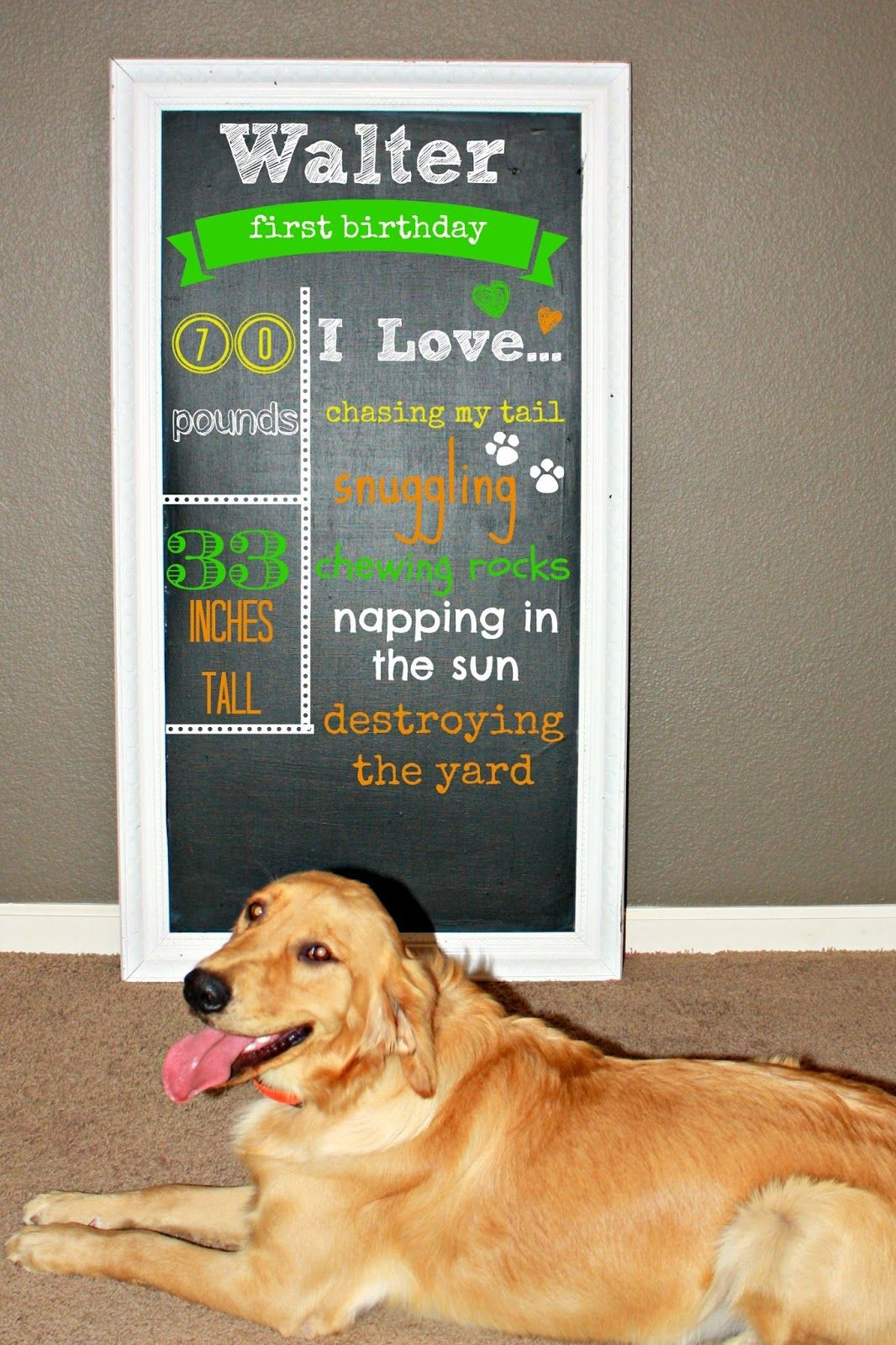 Birthday Gifts For Dogs
 DIY PInspiration dog birthday chalkboard Why did i not