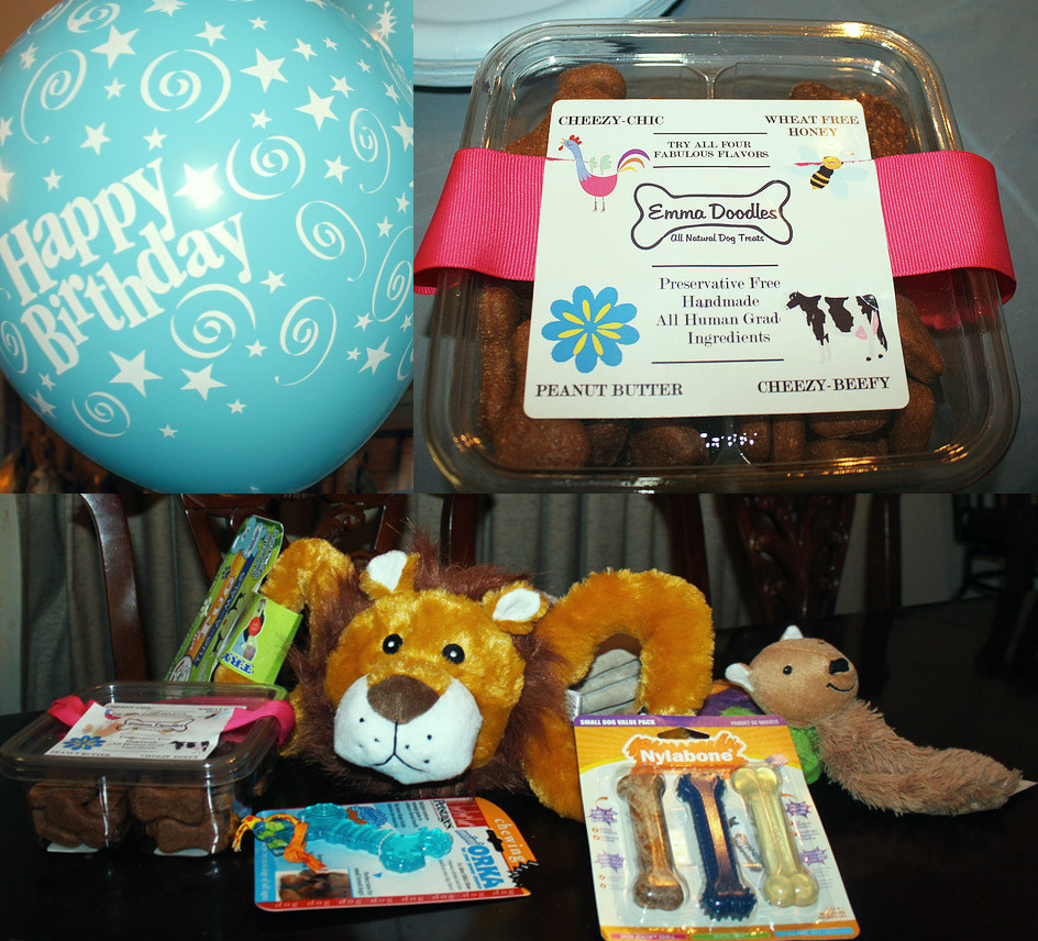 Birthday Gifts For Dogs
 Huxtable The Poodle Toy Poodle Blog