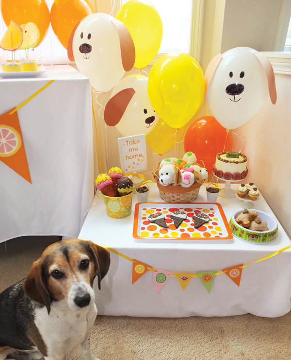 Birthday Gifts For Dogs
 Dog Days of Summer Puppy Party Party on a Dime 1