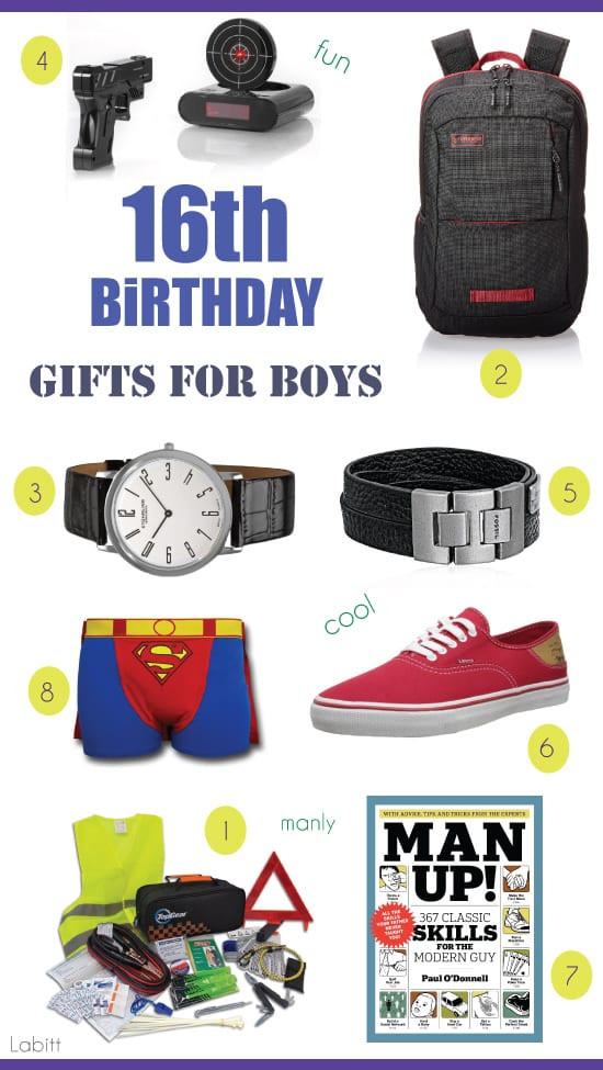 Birthday Gifts For Teen Boys
 Best 16th Birthday Gifts for Teen Boys Metropolitan Girls