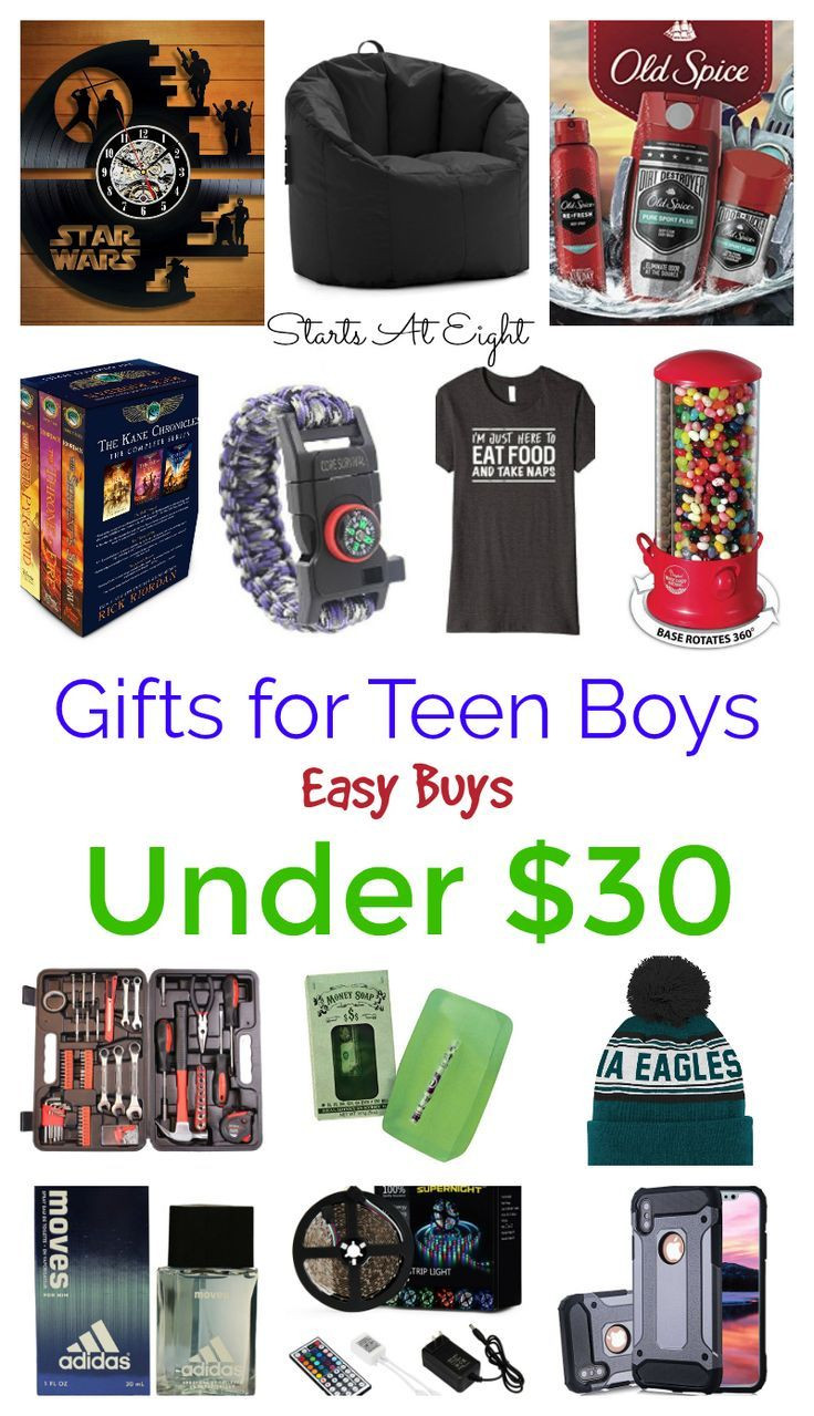 Birthday Gifts For Teen Boys
 Gifts for Teen Boys Easy Buys Under $30