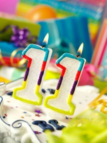 Birthday Party Ideas For 11 Year Olds
 11th Birthday Party Ideas for Girls