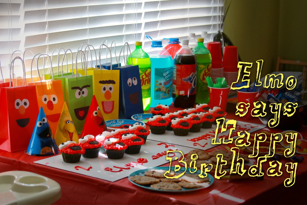 Birthday Party Ideas For 2 Year Old
 Two Year Old Elmo Birthday Party