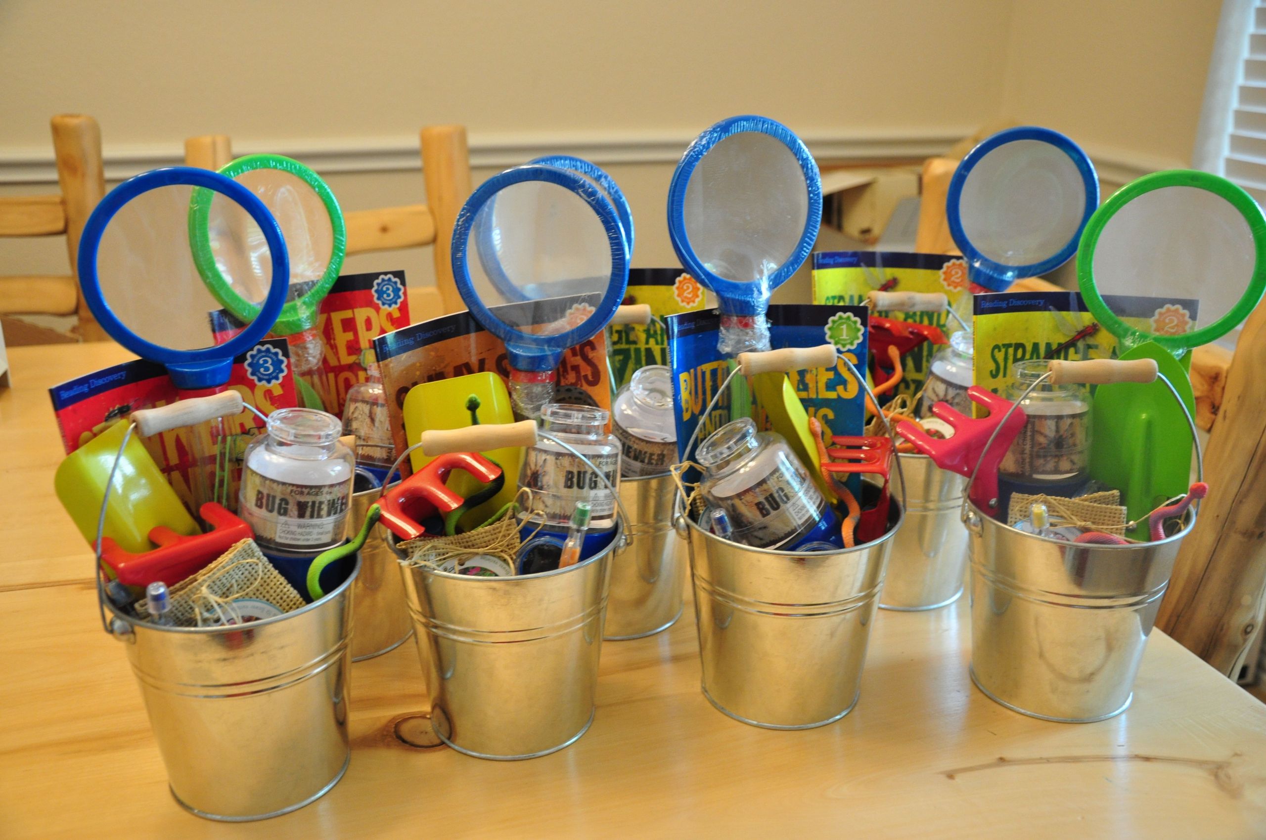 Birthday Party Ideas For 6 Year Old
 My 6 year old s "BUG party" birthday party favors