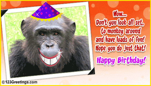 Birthday Wishes For A Friend Funny
 Birthday Wishes For Friends Funny