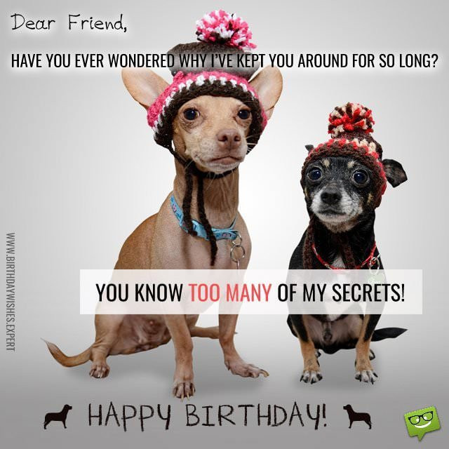 Birthday Wishes For A Friend Funny
 Huge List of Funny Birthday Quotes