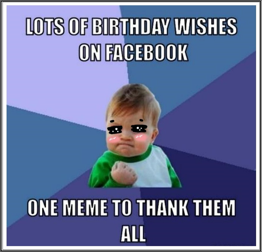 Birthday Wishes Meme
 Funny Birthday Thank You Meme Quotes