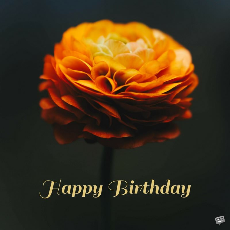 Birthday Wishes With Images
 Floral Wishes eCards
