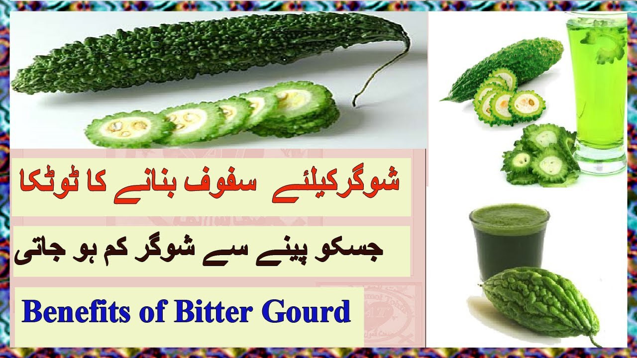 Bitter Melon Recipes For Diabetes
 pakistani bitter melon diabetes green juice recipes for
