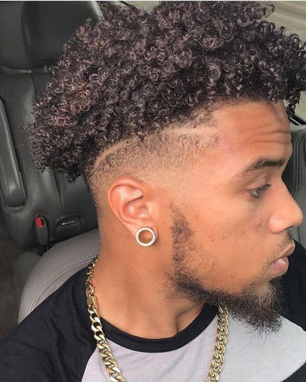 Black Guy Curly Hairstyles
 Curly Hairstyles for Black Men Black Guy Curly Haircuts