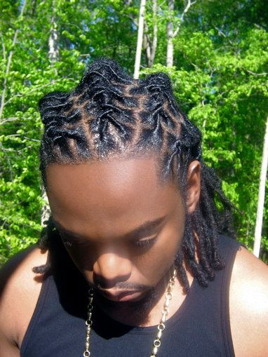 Braided Dread Hairstyles
 Gallery For Wale Dreads Braided Hairstyles